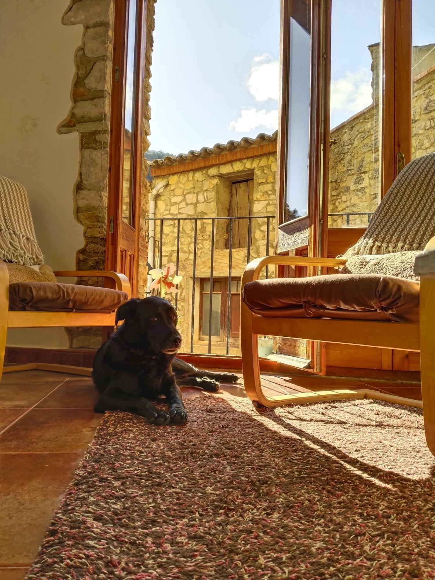 El Refugi Hostel Arboli Bagian luar foto